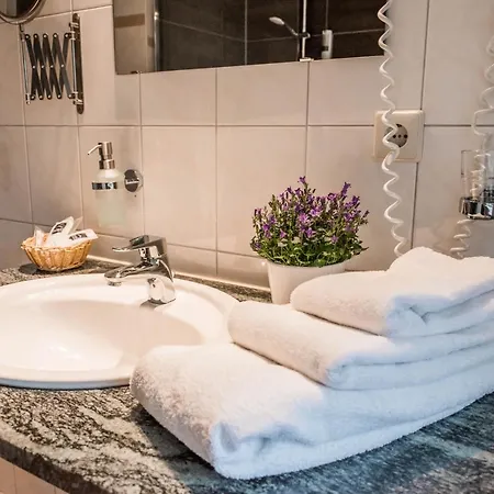 Wellness- & Haus Am Hotel 4*